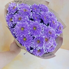 Хризантема кустовая, Крафт