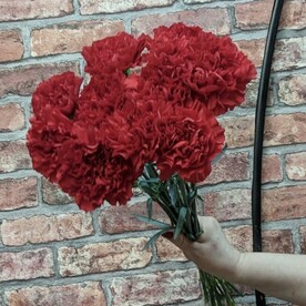 Моно букет красных гвоздик 10 шт