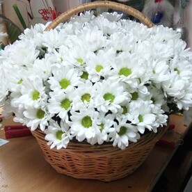 «Ромашковая корзина»