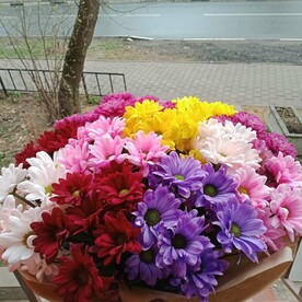 Хризантема кустовая, Крафт