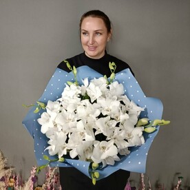 Орхидеи белые 41