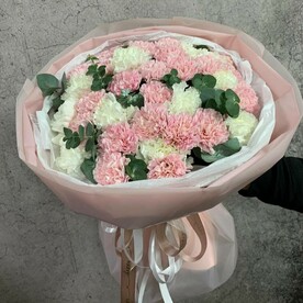 Нежный 35 диантусов