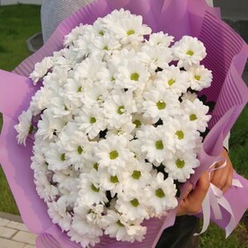 Хризантема кустовая, Дизайнерская упаковка