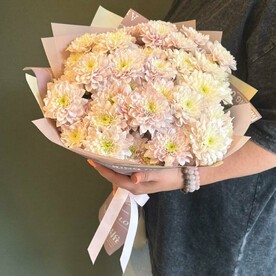 Хризантема кустовая шт, Дизайнерская упаковка шт, шт