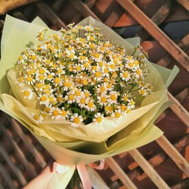 Букет ромашек
