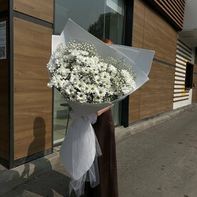 Большой букет ромашек и гипсофил