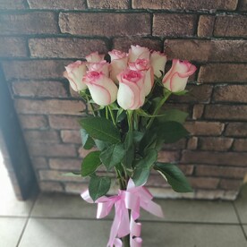 9 нежных роз под ленту