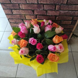 Роза одноголовая, Пленка матовая