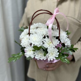 Хризантема кустовая, Зелень, Сумочка, Оазис