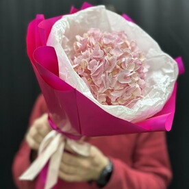 Гортензия Гидрангия, Стильная упаковка