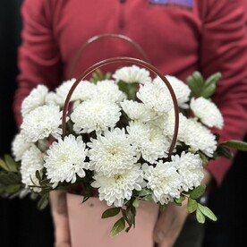 Хризантема кустовая, Фисташка, Сумочка, Оазис