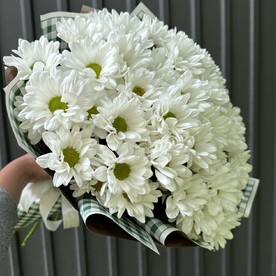 Хризантема кустовая, Стильная упаковка