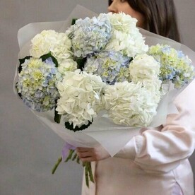 Большой букет из 9 гортензий