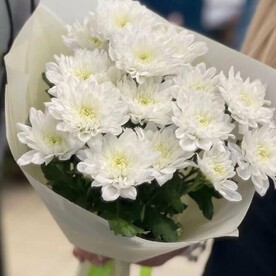 Букет из 3 кустовых Хризантем