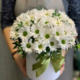 Комплимент из ромашек хризантем