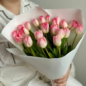 21 розовый тюльпан в упаковке