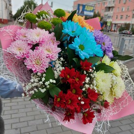 7 кустовых хризантем