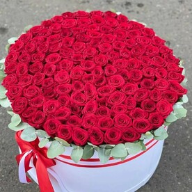 Роза, Эвкалипт, Оазис, Пленка матовая, Коробка, Открытка