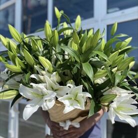 Лилия белая, Крафт, Открытка