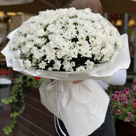 Хризантема кустовая, Дизайнерская упаковка, Открытка