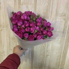 Роза мисти бабблс, Упаковка, Открытка