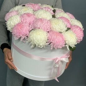 Хризантема крымская
