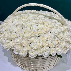 101 белых роз в корзине