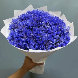 Васильки
