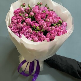 Мисти бабблс