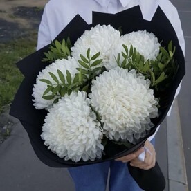 Хризантема белая