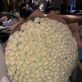 Роза белая, Оформление
