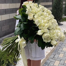 Роза Эквадор, Открытка