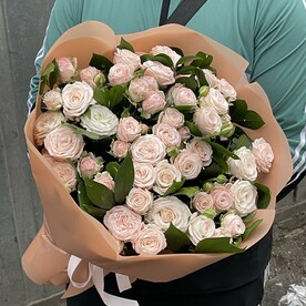Роза мадам бомбастик, Рускус, Упаковка