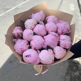 Пион Сара 15 шт