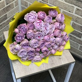 Роза пионовидная кустовая Мисти Баблс, Дизайнерская упаковка, Открытка