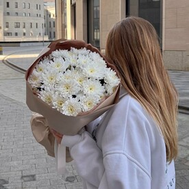 Хризантема кустовая белая
