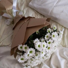 Хризантема белая