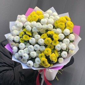 Хризантема кустовая