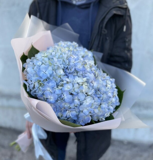 Букет гортензия голубая за 4399₽ с доставкой в Москве от M.G.Flowers на Flawery