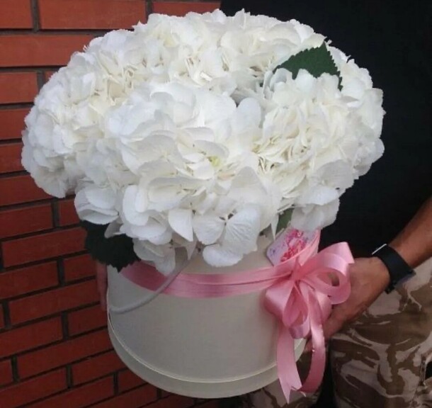 Букет цветов Сияние за 11870₽ с доставкой в Шумерле от FLOWER BASE на Flawery