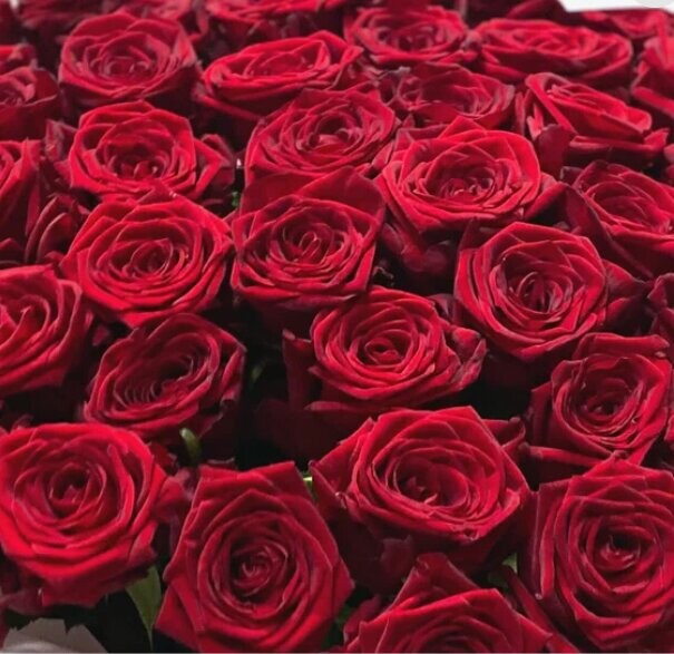 Букет цветов Розы бордо за 17344₽ с доставкой в Москве от FLOWER BASE на Flawery
