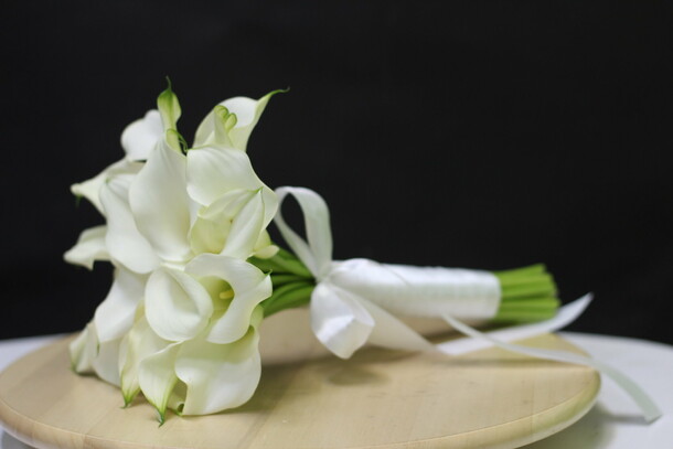 Порно фото әдемі волосатые письки