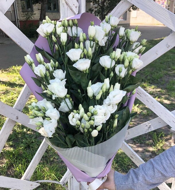 Эустома микс, артикул F39921 - 6300 рублей, доставка по городу. Flawery - доставка цветов
