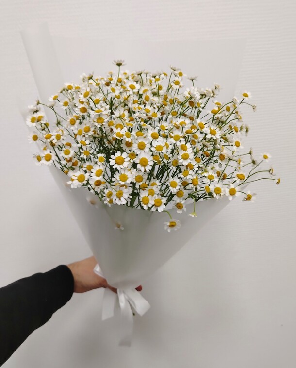 Букет цветов 9 кустовых ромашек за 3640₽ с доставкой в Москве от Flower Island на Flawery