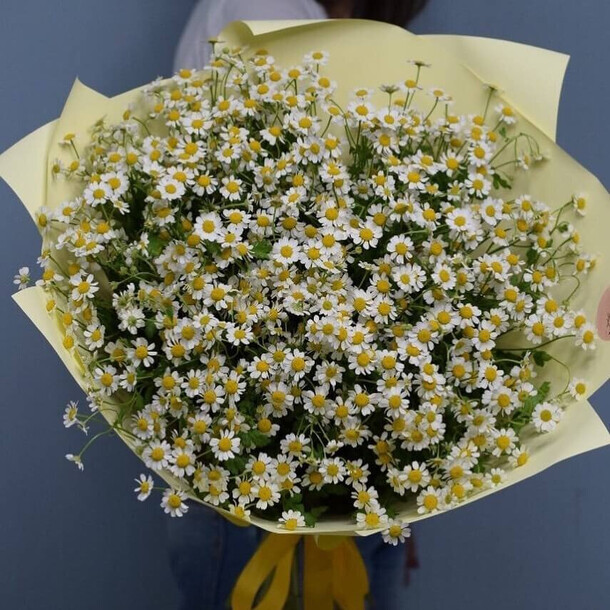 Букет цветов 19 кустовых ромашек за 5500₽ с доставкой в Одинцово от Flower Island на Flawery