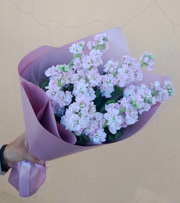 Букет цветов 9 розовых маттиол за 3800₽ с доставкой в Москве от Flower Island на Flawery