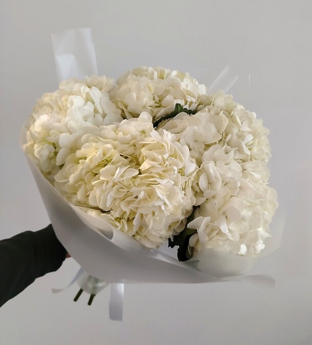 Букет из белых гортензий за 3990₽ с доставкой в Москве от Flower Island на Flawery