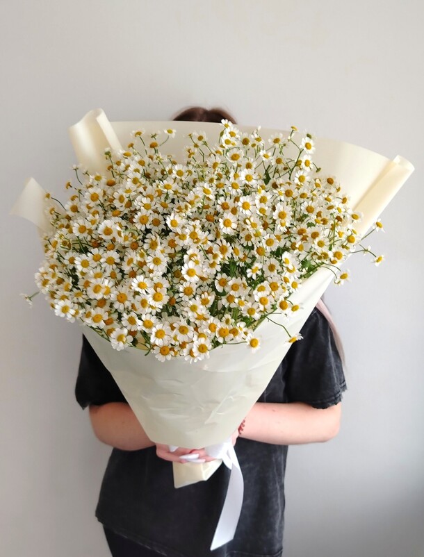 Букет из 15 ромашек за 3500₽ с доставкой в Москве от Flower Island на Flawery