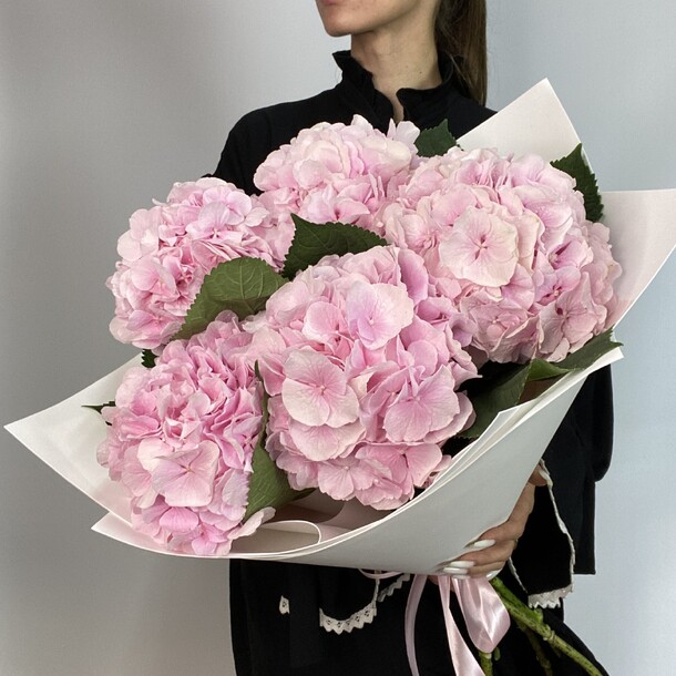 Букет голландских гортензий за 9670₽ с доставкой в Москве от Ver. Flowers на Flawery