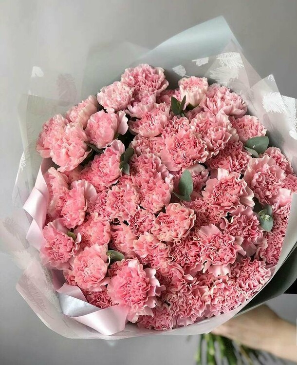 Букет из розовых гвоздик ц в е т к е в и ч, артикул F1142443 - 9240 рублей, доставка по городу. Flawery - доставка цветов